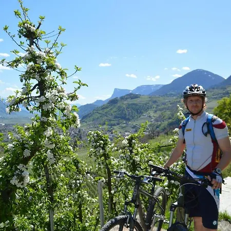 招待所 Landgasthof Ledererwirt 3*