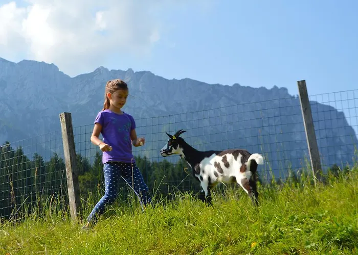 招待所 Landgasthof Ledererwirt 埃布斯镇