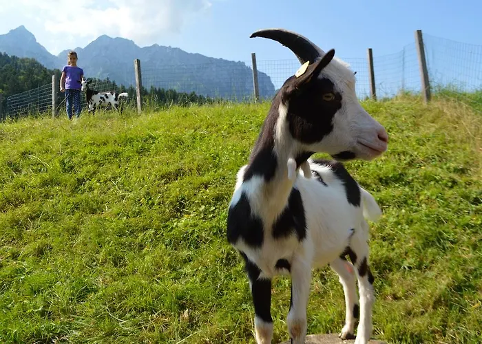 Landgasthof Ledererwirt