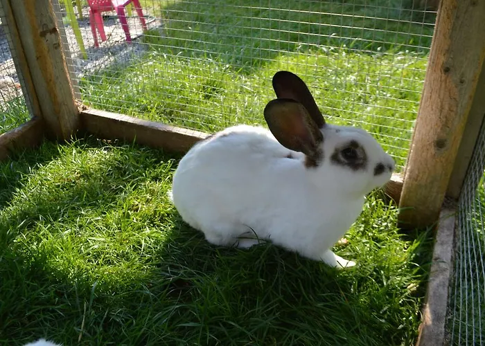 招待所 Landgasthof Ledererwirt