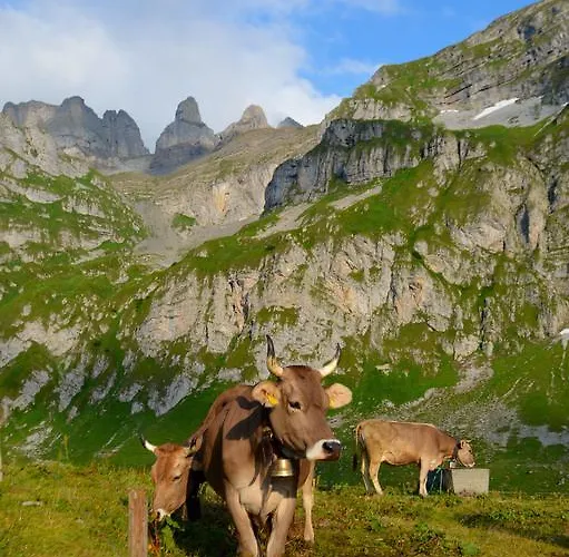 招待所 Landgasthof Ledererwirt 埃布斯镇