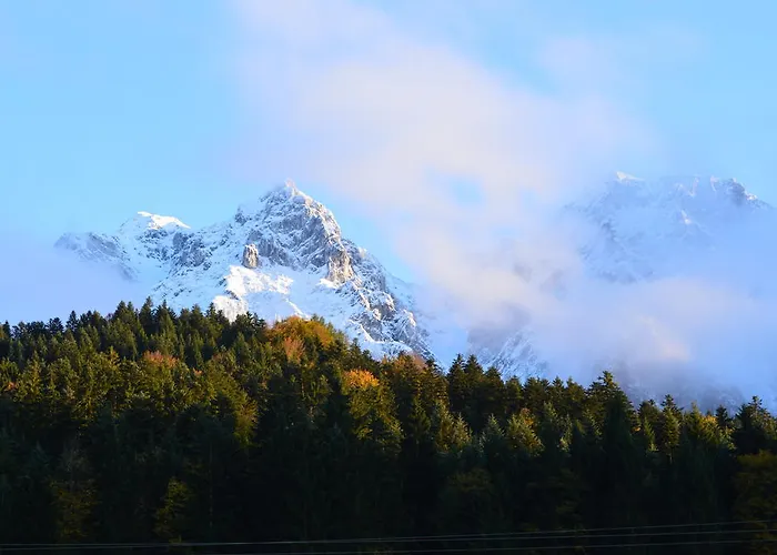 招待所 Landgasthof Ledererwirt 3*