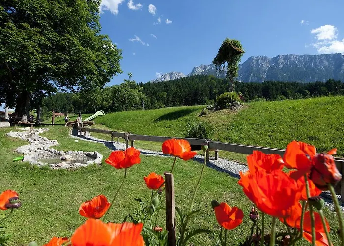 Landgasthof Ledererwirt 3* 埃布斯镇