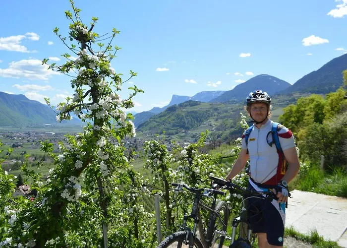 招待所 Landgasthof Ledererwirt 3*