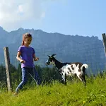 Πανσιόν Landgasthof Ledererwirt Ebbs