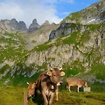 Πανσιόν Landgasthof Ledererwirt Ebbs