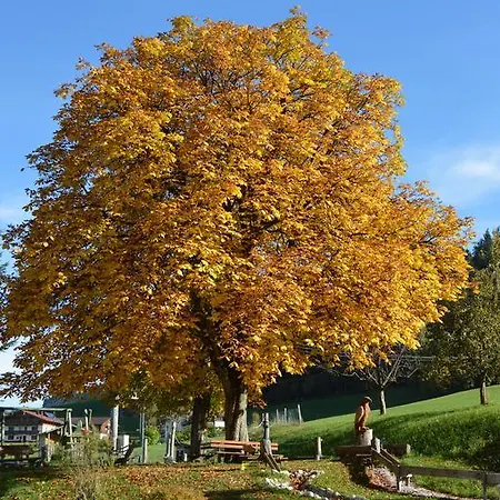 Landgasthof Ledererwirt Πανσιόν 3*
