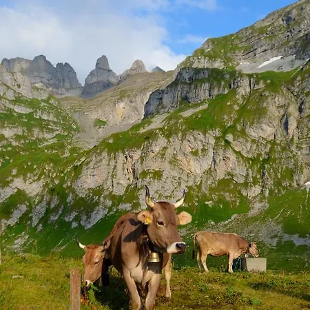 Πανσιόν Landgasthof Ledererwirt Ebbs