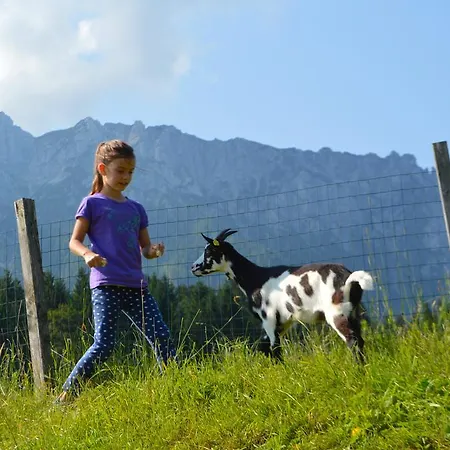 Maison d'hôtes Landgasthof Ledererwirt Ebbs