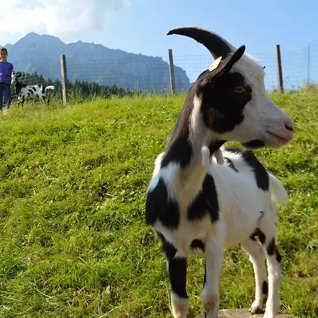 Landgasthof Ledererwirt