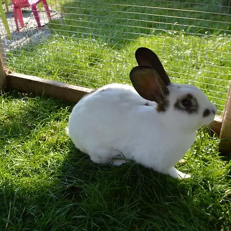 Maison d'hôtes Landgasthof Ledererwirt